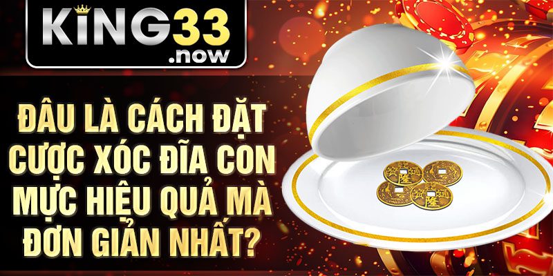Đâu là cách đặt cược xóc đĩa con mực hiệu quả mà đơn giản nhất?